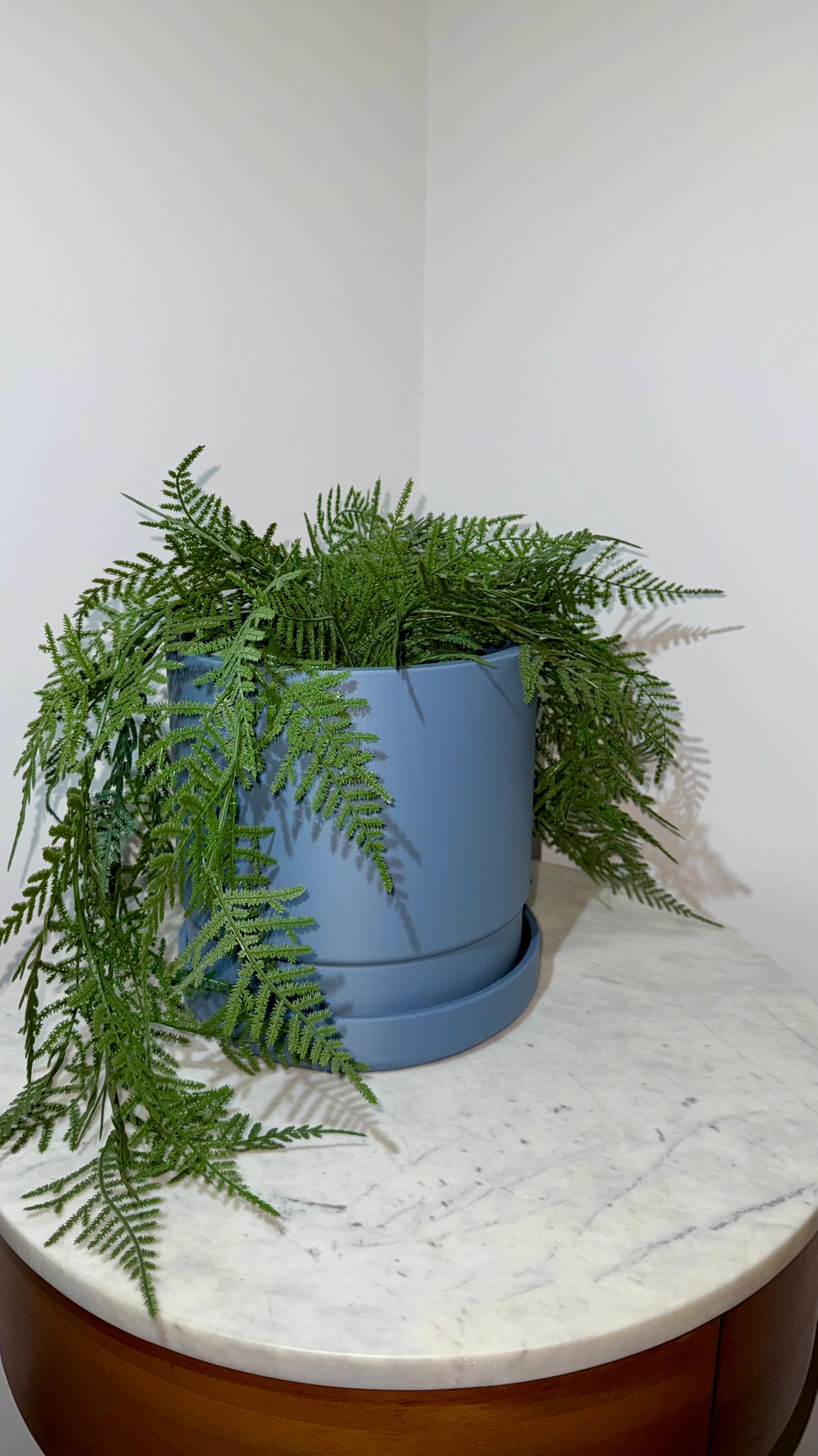 Elevate Planter & Tray