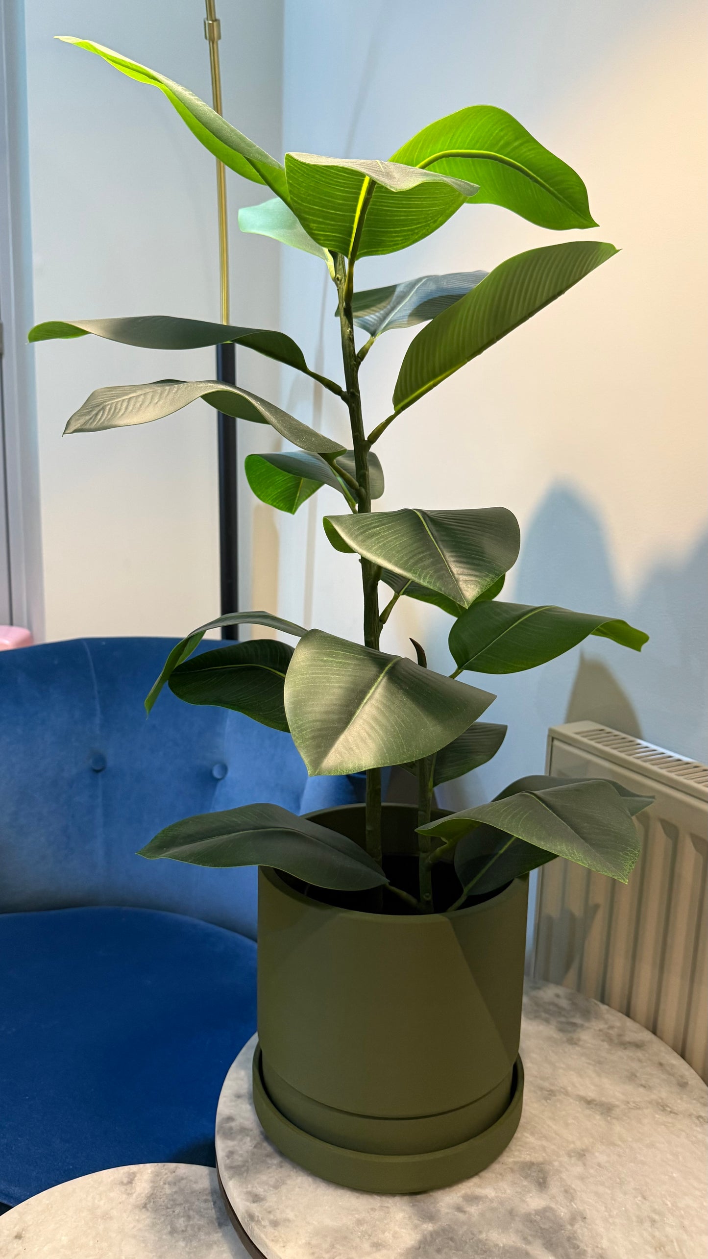 Elevate Planter & Tray