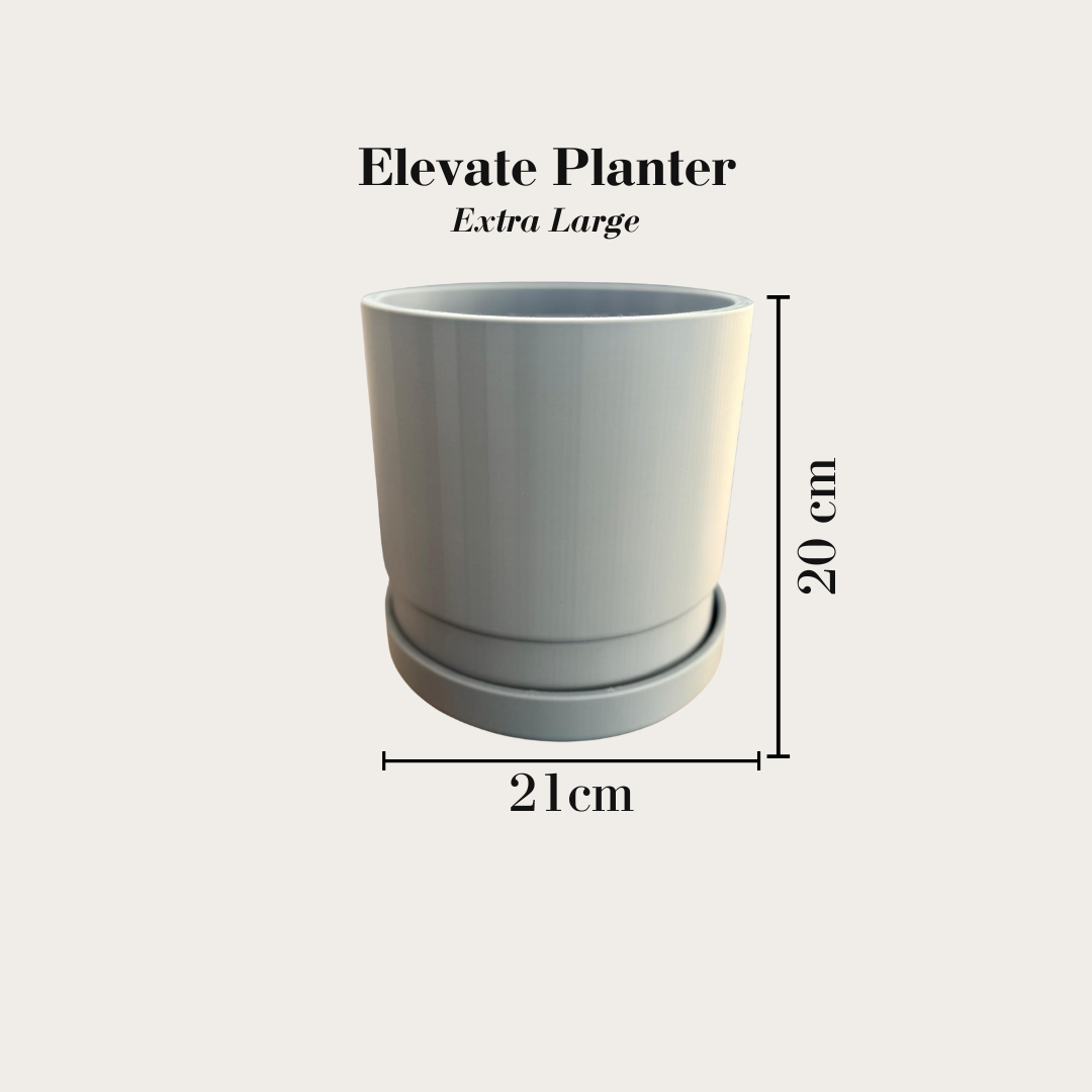 Elevate Planter & Tray