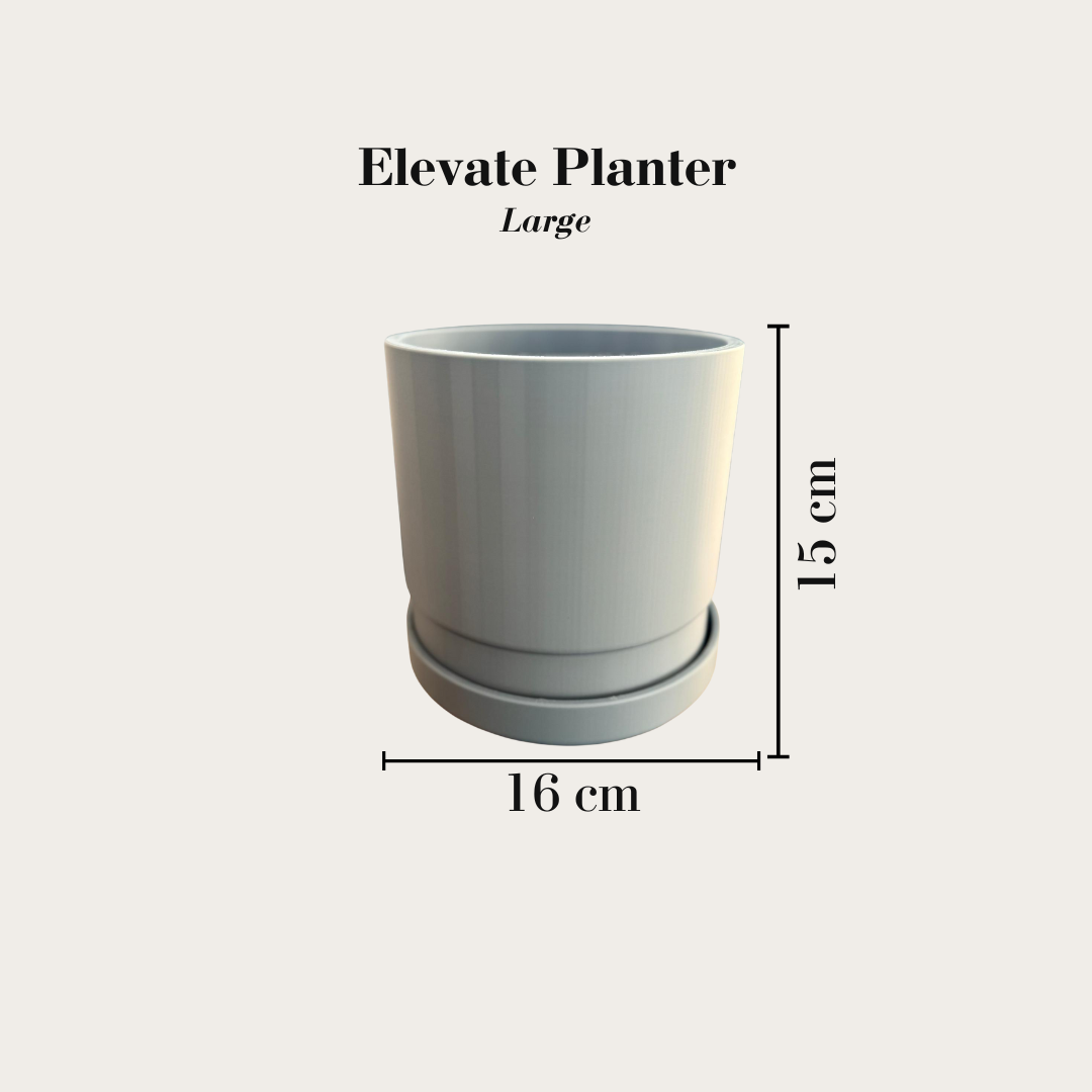 Elevate Planter & Tray
