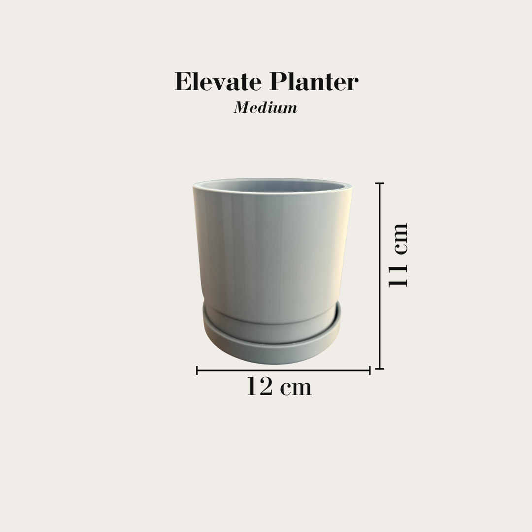 Elevate Planter & Tray