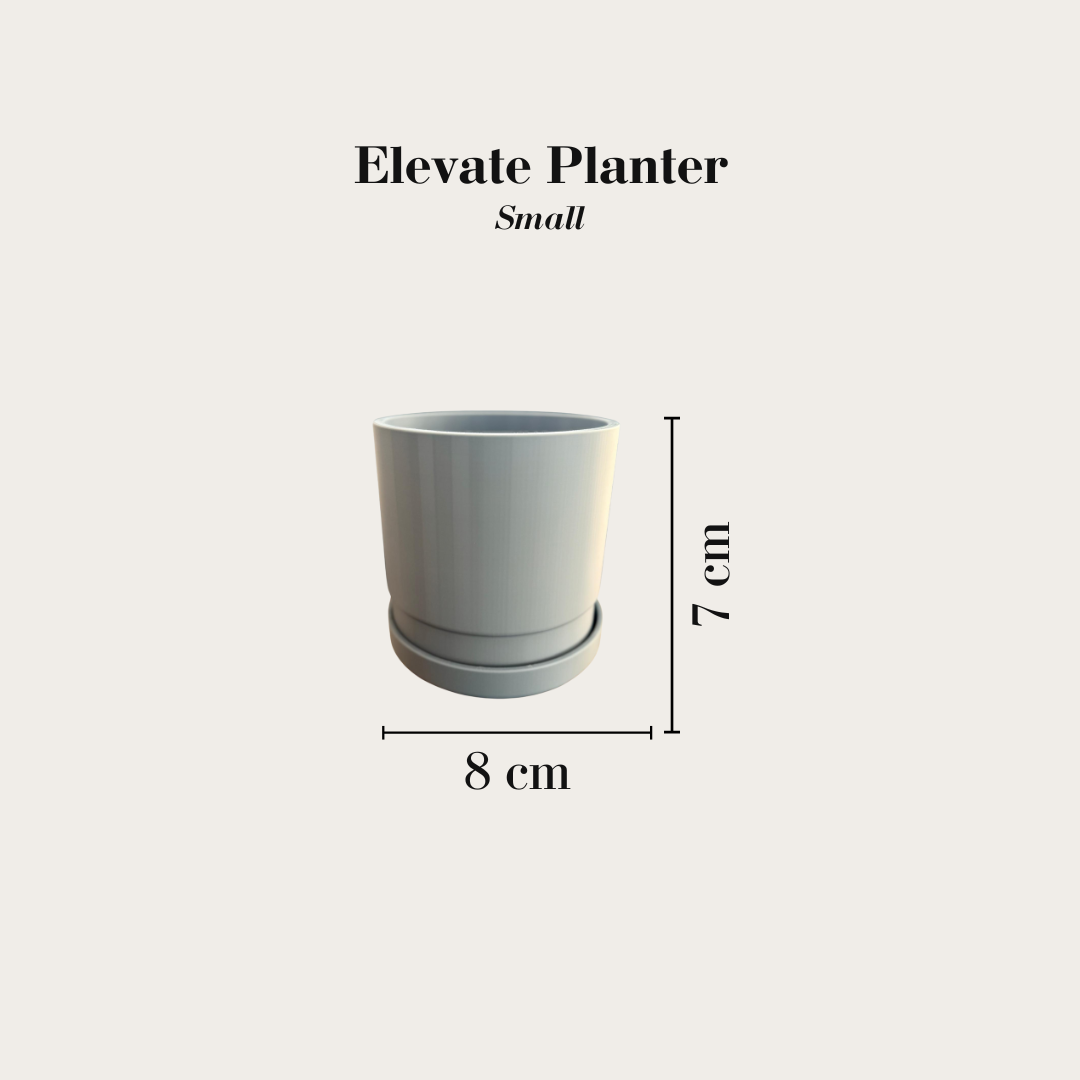 Elevate Planter & Tray