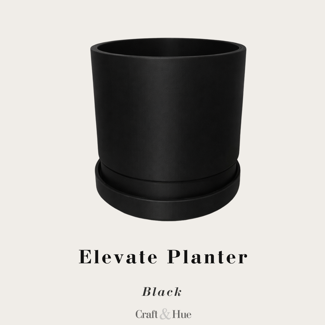 Elevate Planter & Tray
