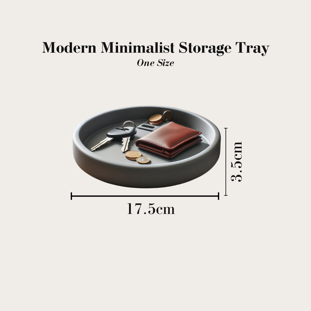 Modern Minimalist Storage Tray