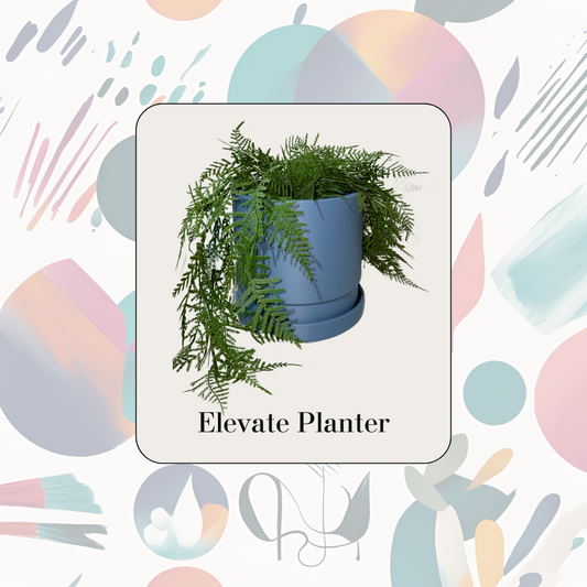 Elevate Planter & Tray